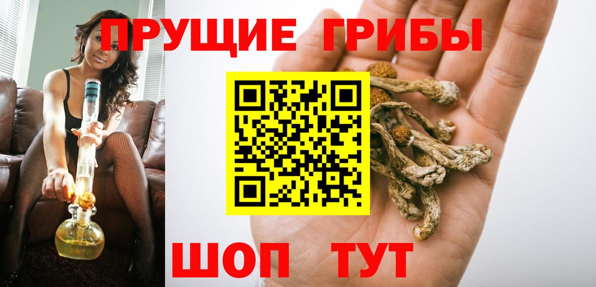 Мыски  Галлюциногенные грибы прущие грибы  Галлюциногенные грибы ЛСД  Вход с VPN 